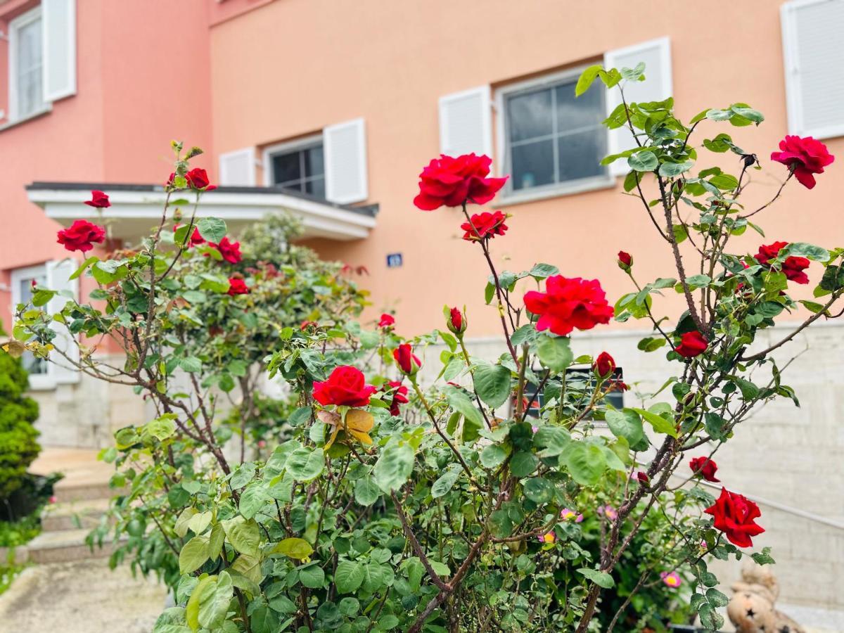 Apartamento Casa Cino Umag Exterior foto